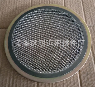哪家有帶過濾網金屬石墨纏繞墊片